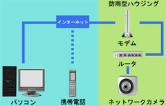 WEB׍\z